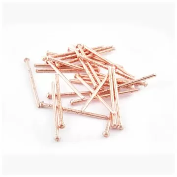 CLOUS A SOUDER 2.5x50mm 500 PIECES CLAS | SA 4012